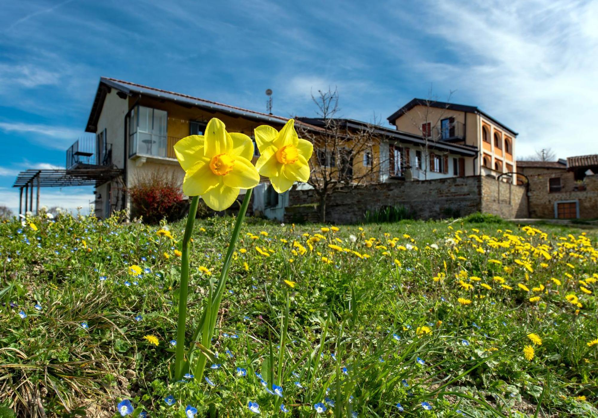 Cascina Nomade - Wine & Scenic Retreat Apartment โดลญานี ภายนอก รูปภาพ