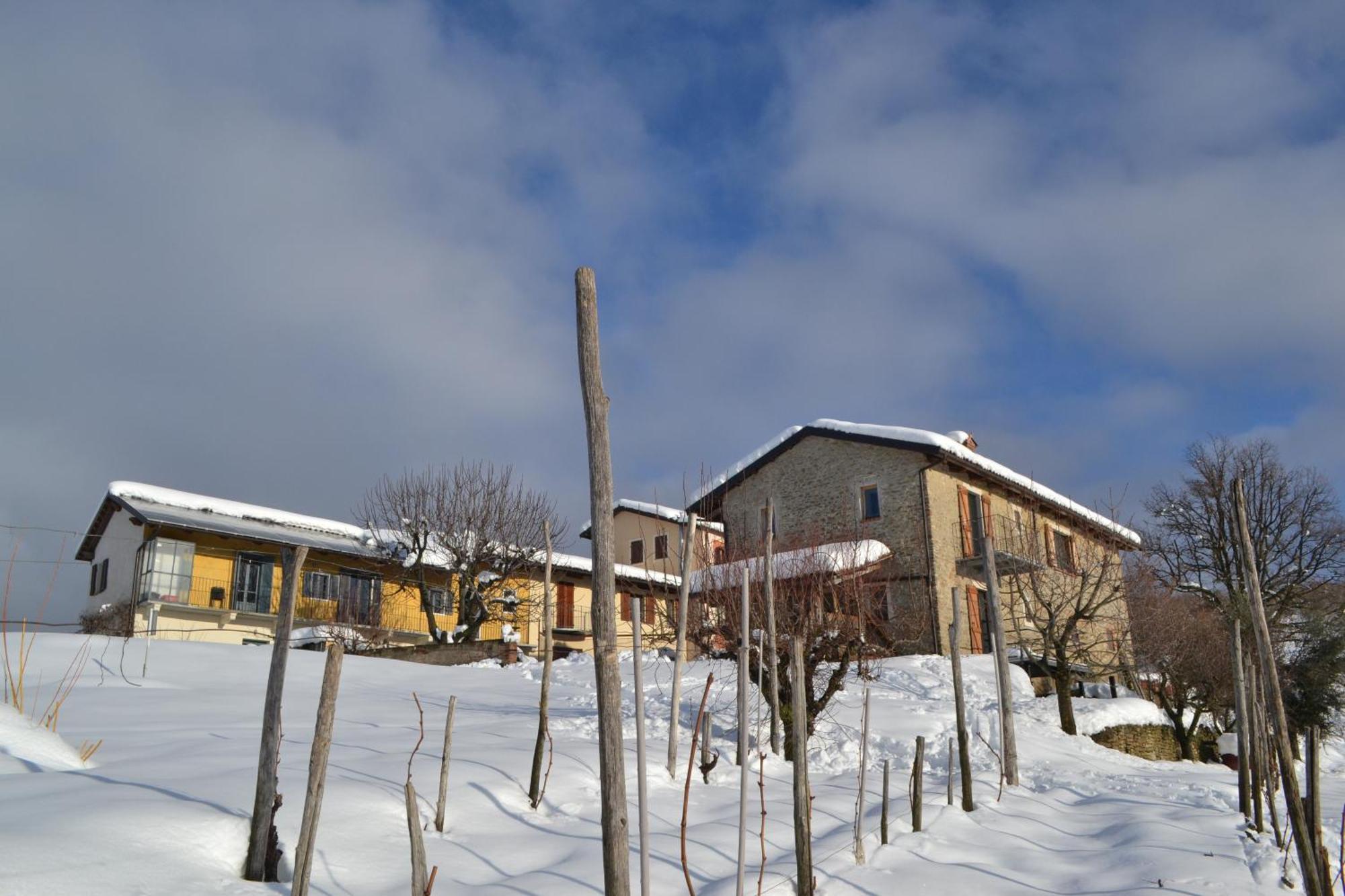 Cascina Nomade - Wine & Scenic Retreat Apartment โดลญานี ภายนอก รูปภาพ